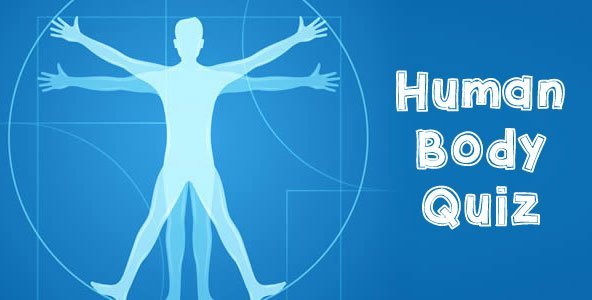 Important MCQ On Human Body Short Quiz