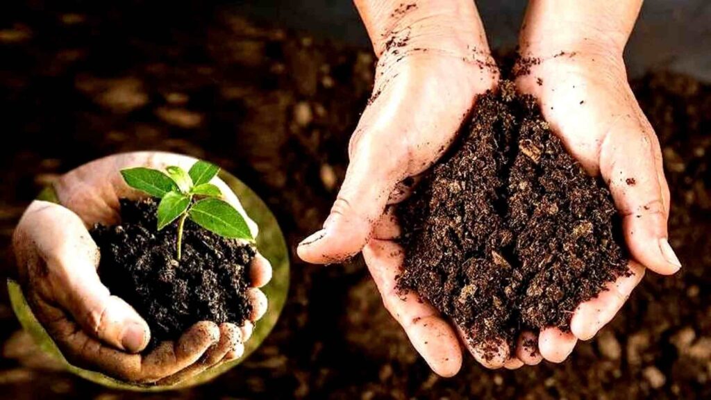 Vermi Compost Khad Business